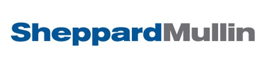 YWCA San Diego County Logo